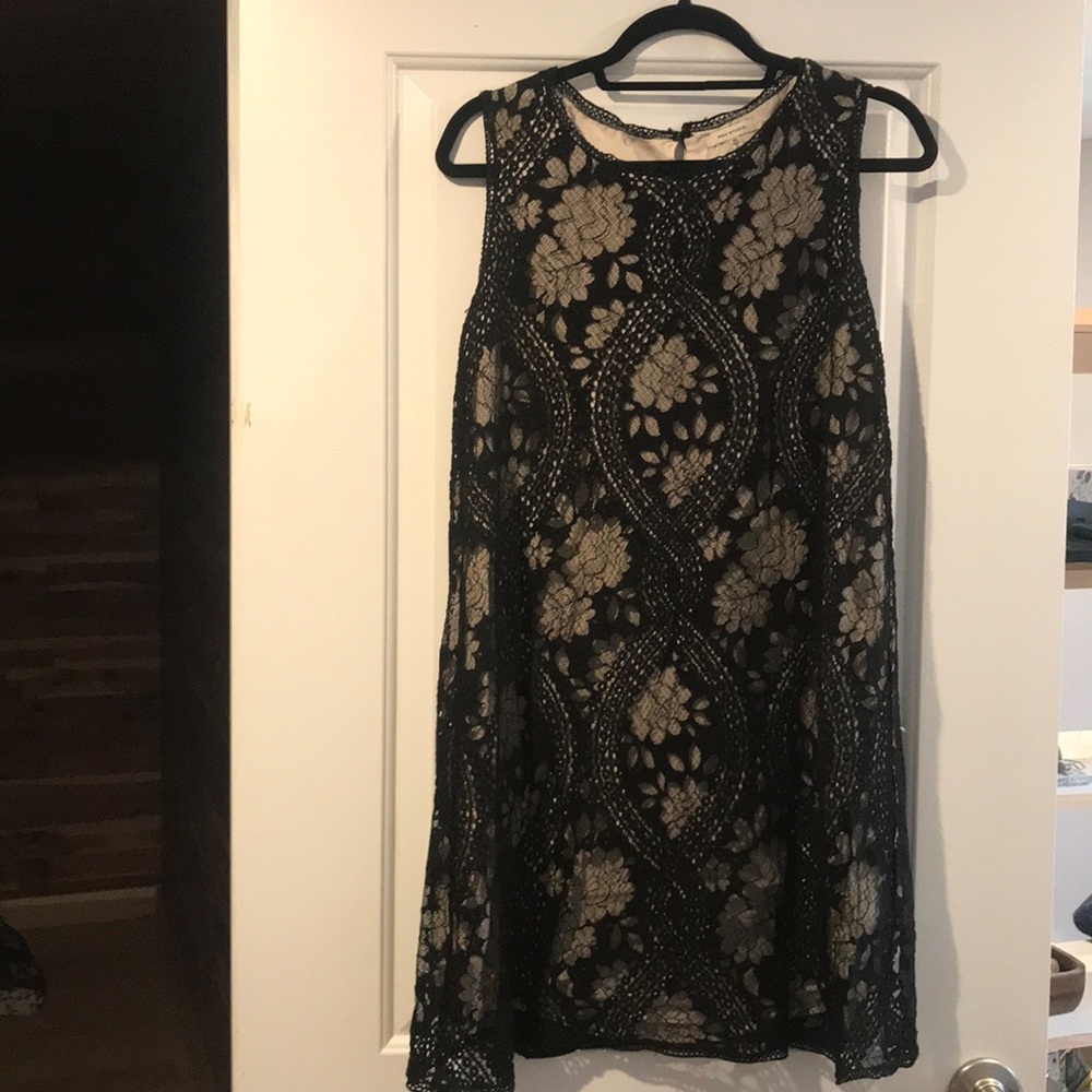 Max Studio black and nude lace shift dress